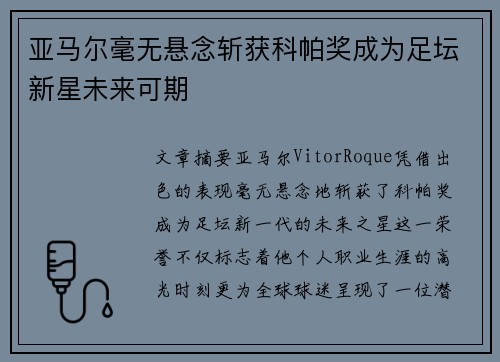 亚马尔毫无悬念斩获科帕奖成为足坛新星未来可期 亚马尔毫无悬念斩获科帕奖成为足坛新星未来可期